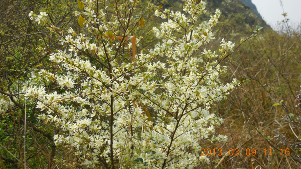 ������ǿ����Դ����ɽ