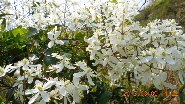 ������ǿ����Դ����ɽ