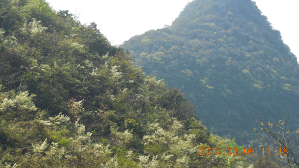 ������ǿ����Դ����ɽ