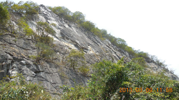 ������ǿ����Դ����ɽ