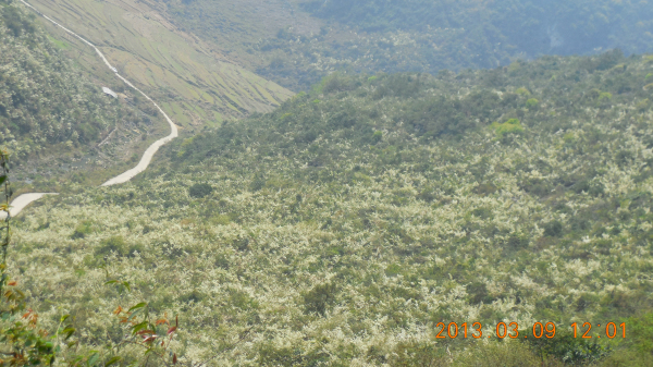 ������ǿ����Դ����ɽ