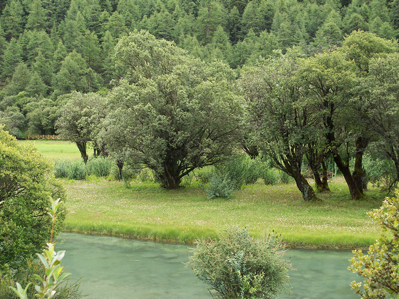 ��ϲ������Ƭ֮һ