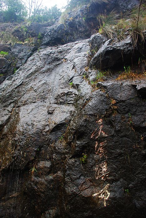 ����ɽ��ɫ