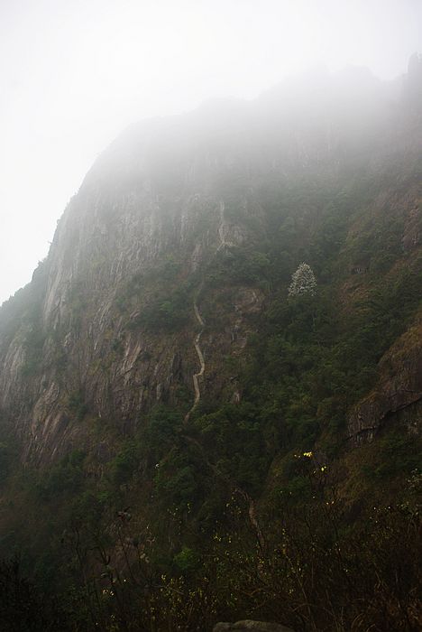 ����ɽ����