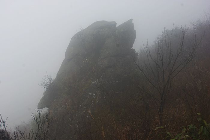 ���Խ���