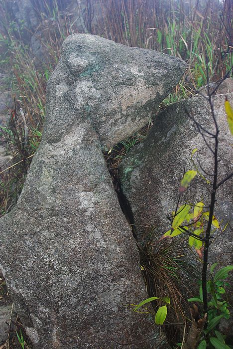 ����ɽ��ɫ