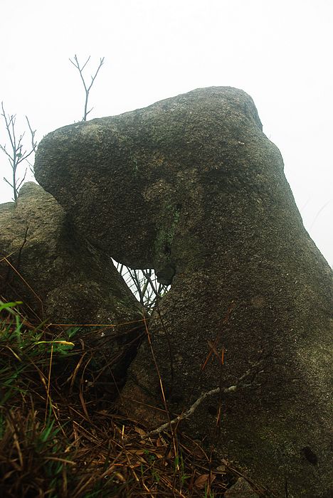 ����ɽ��ɫ