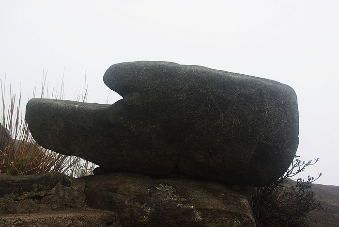 ����ɽ��ɫ