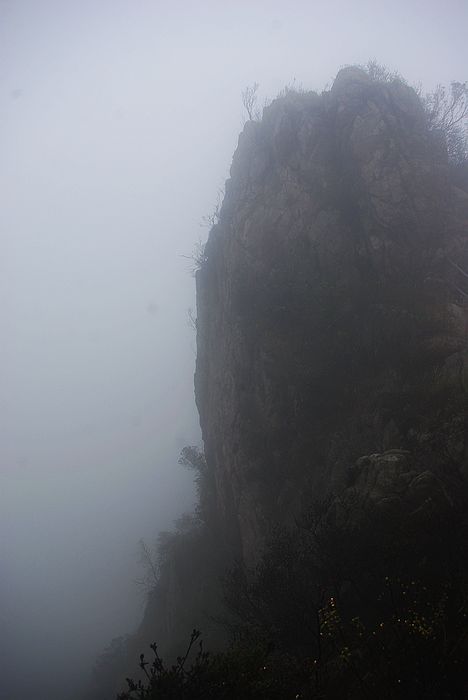 ���Խ���