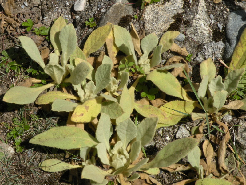 �Ҥ�iphone 079.jpg