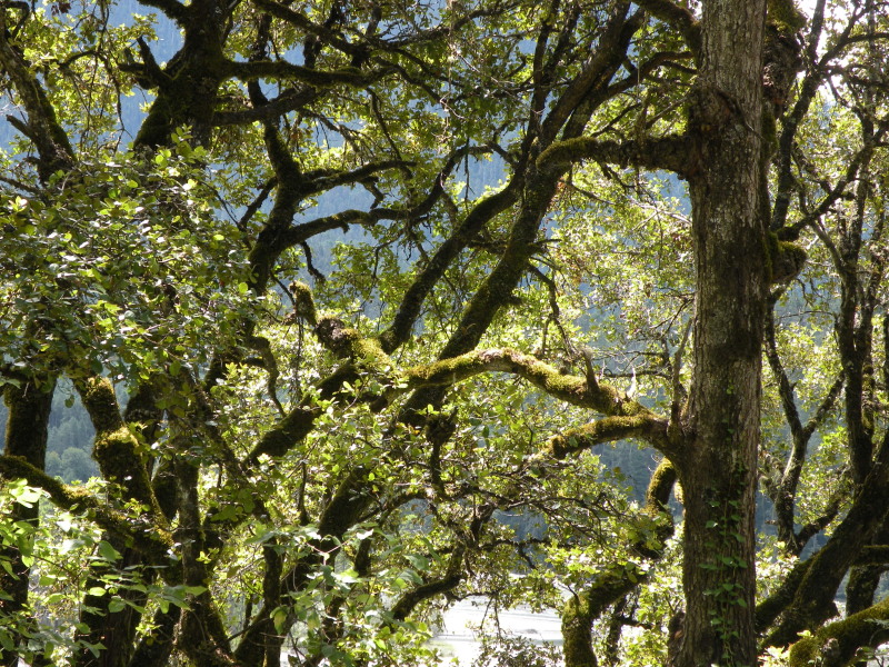 �Ҥ�iphone 094.jpg