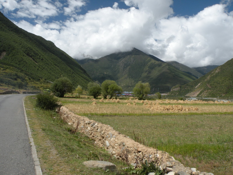 �Ҥ�iphone 231.jpg