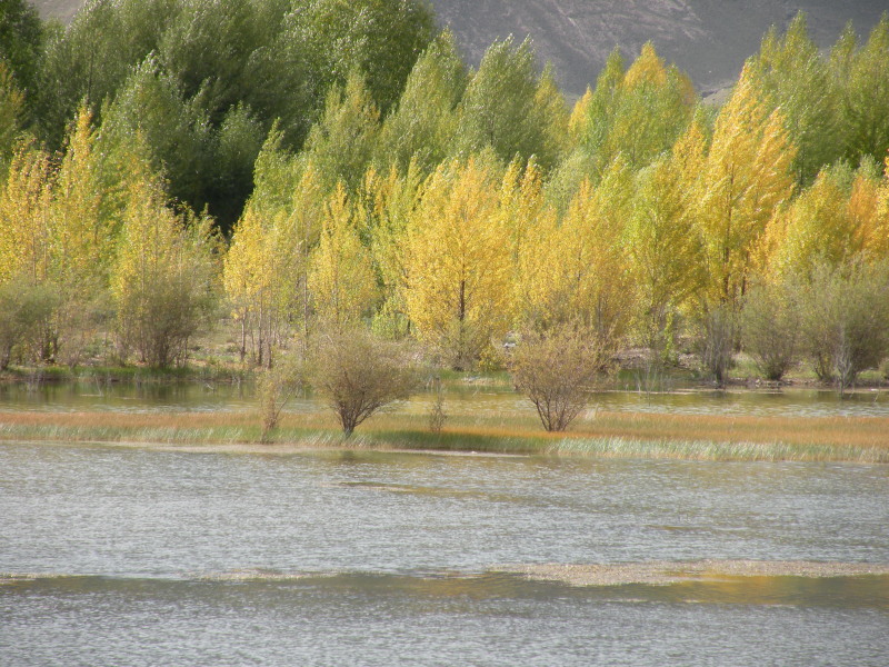 �Ҥ�iphone 296.jpg