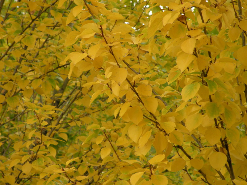 �Ҥ�iphone 280.jpg