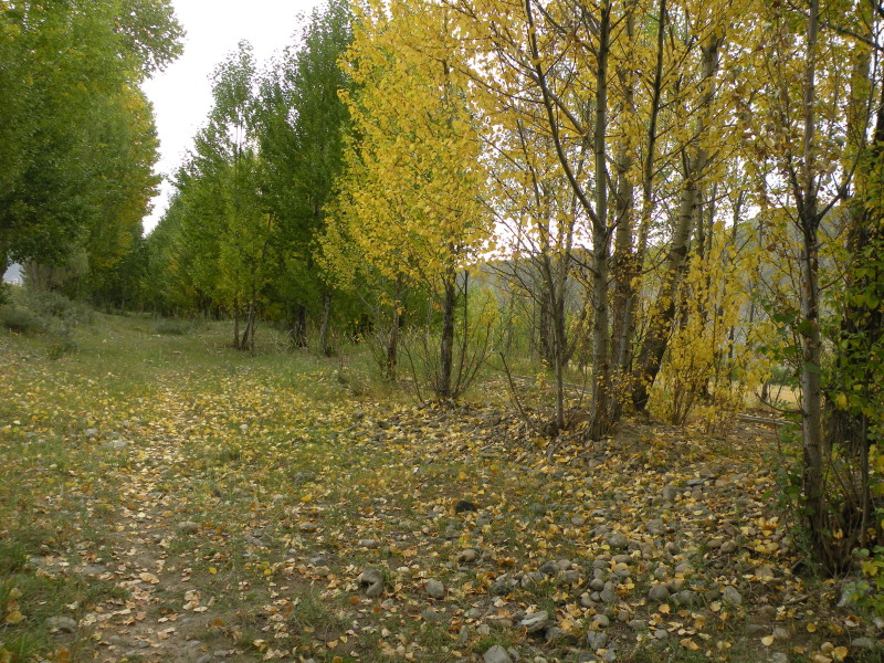 �Ҥ�iphone 277.jpg