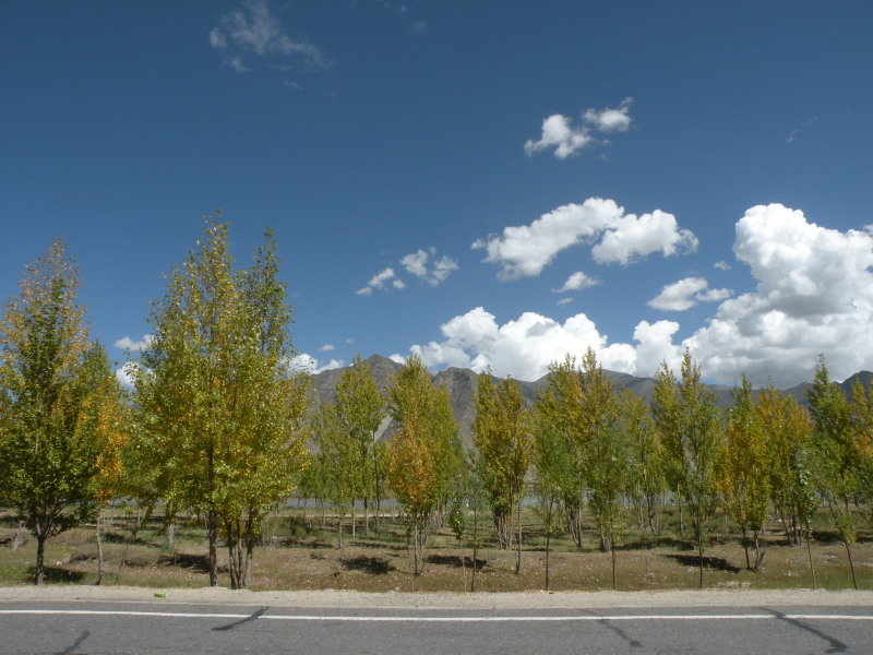 �Ҥ�iphone 415.jpg