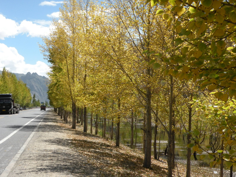 �Ҥ�iphone 414.jpg