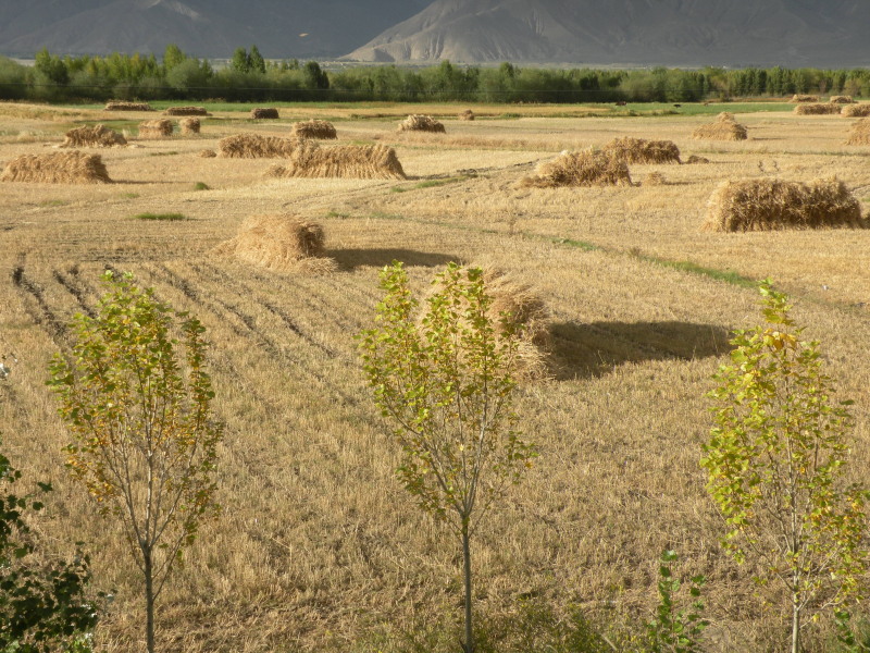 �Ҥ�iphone 492.jpg