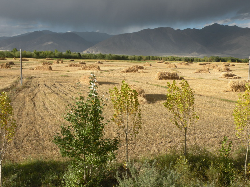 �Ҥ�iphone 491.jpg