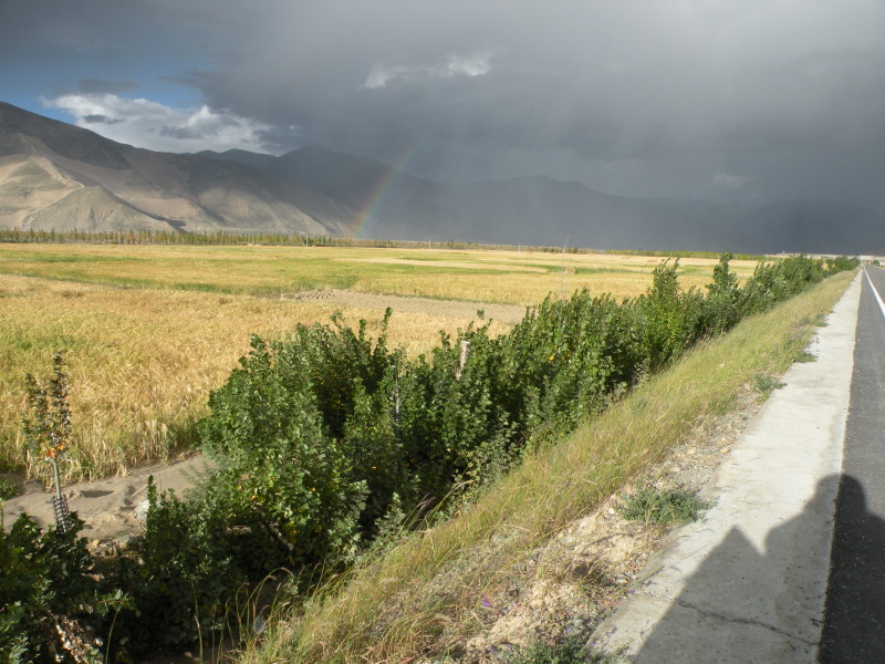 �Ҥ�iphone 486.jpg