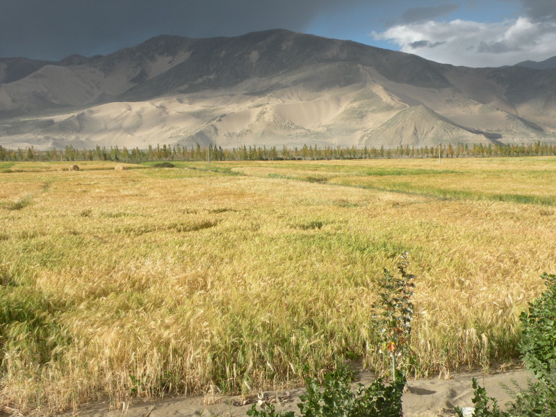 �Ҥ�iphone 484.jpg