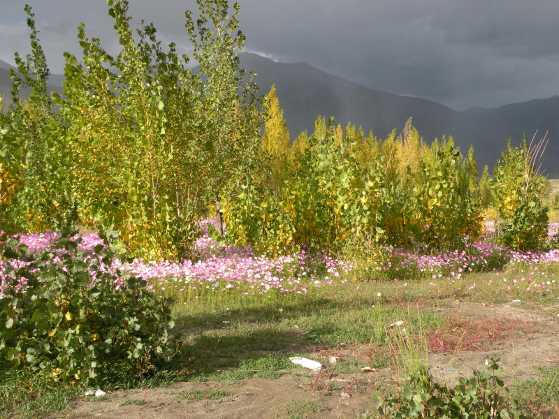 �Ҥ�iphone 481.jpg