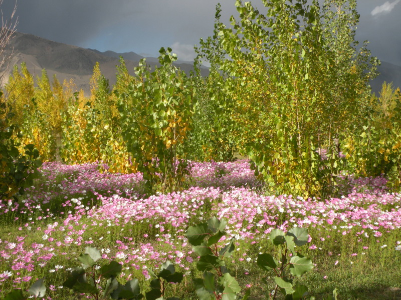 �Ҥ�iphone 479.jpg