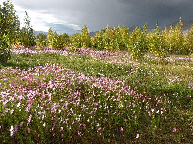 �Ҥ�iphone 478.jpg