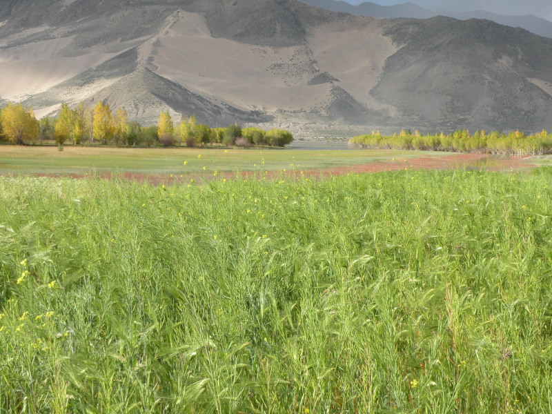 �Ҥ�iphone 474.jpg