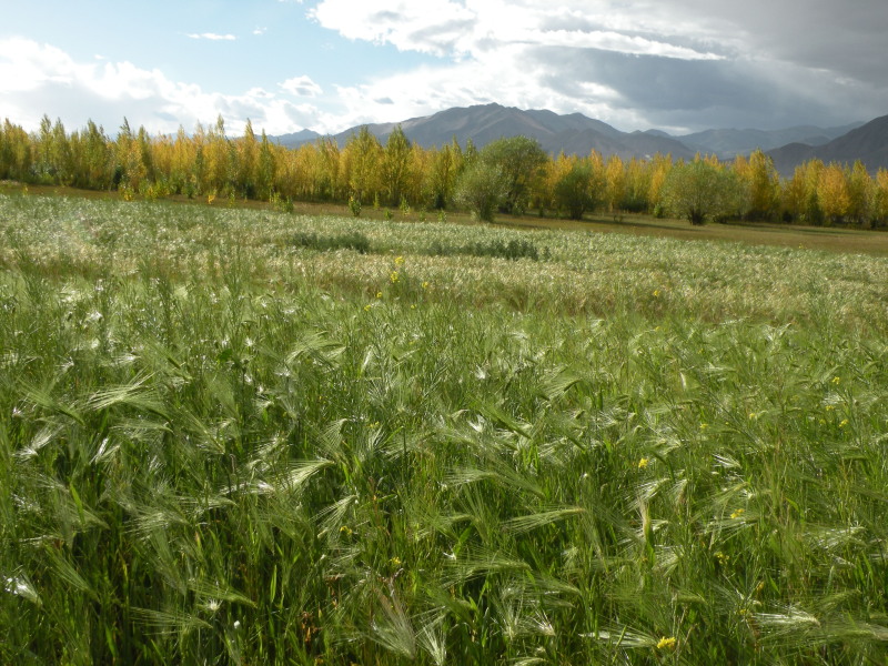 �Ҥ�iphone 472.jpg