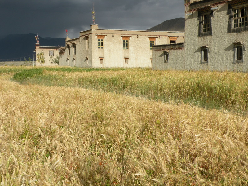 �Ҥ�iphone 468.jpg