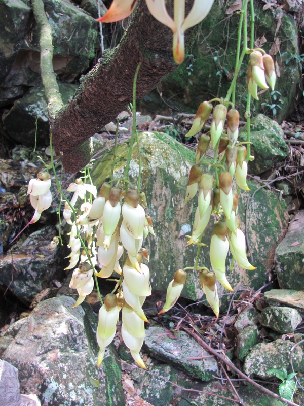 �׻�������