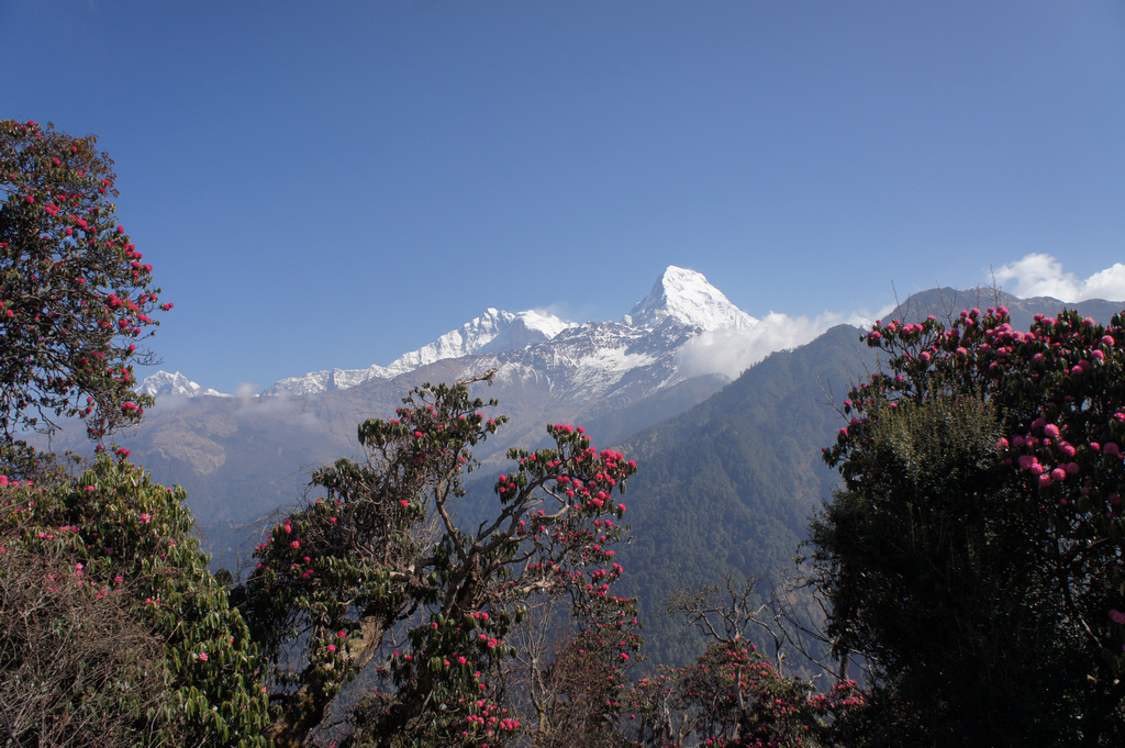 nEO_IMG_DSC08429 - ����.jpg