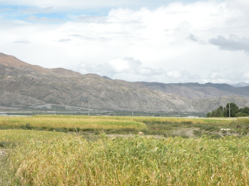 �Ҥ�iphone 591.jpg