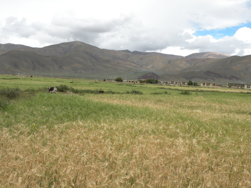 �Ҥ�iphone 583.jpg