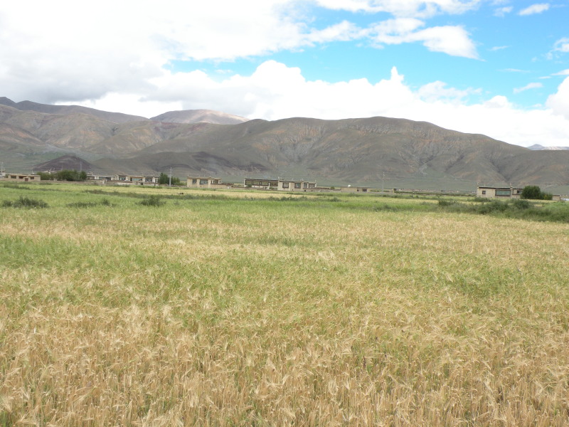 �Ҥ�iphone 582.jpg