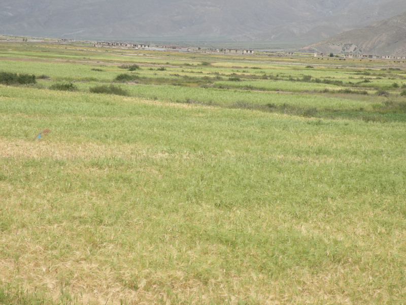 �Ҥ�iphone 580.jpg