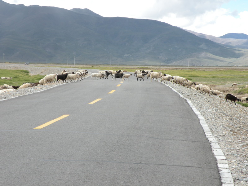 �Ҥ�iphone 759.jpg