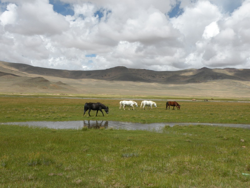 �Ҥ�iphone 750.jpg