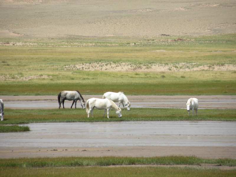 �Ҥ�iphone 744.jpg