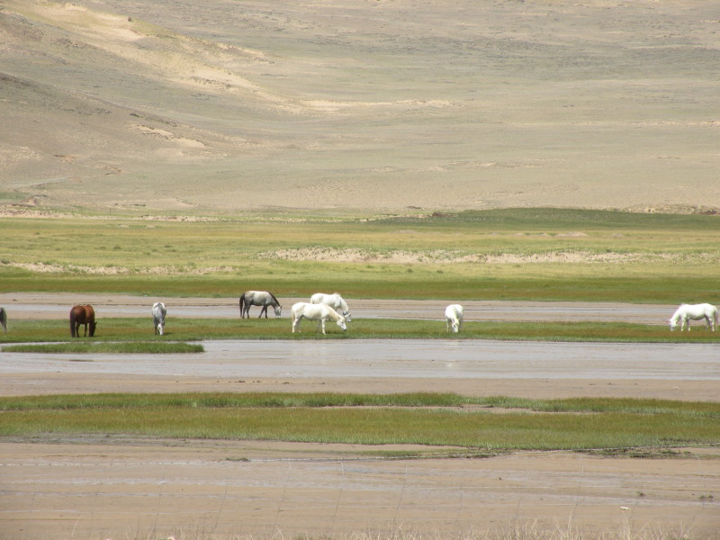 �Ҥ�iphone 742.jpg