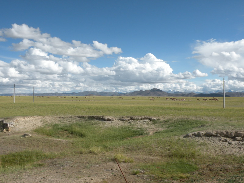 �Ҥ�iphone 843.jpg