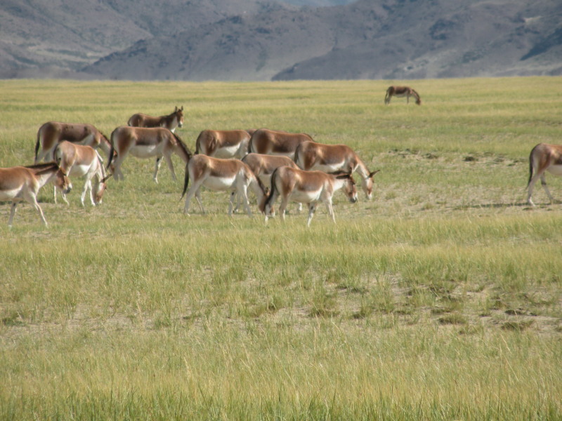 �Ҥ�iphone 842.jpg