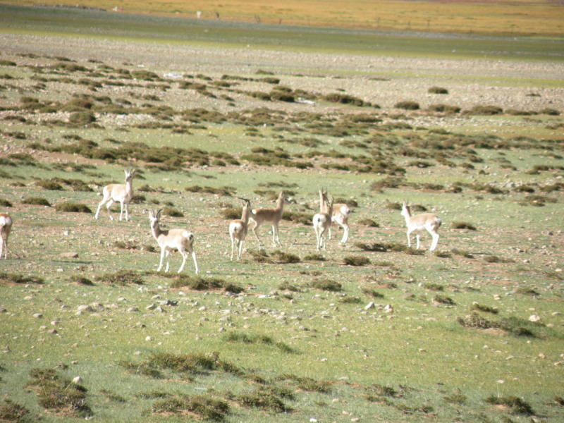 �Ҥ�iphone 859.jpg