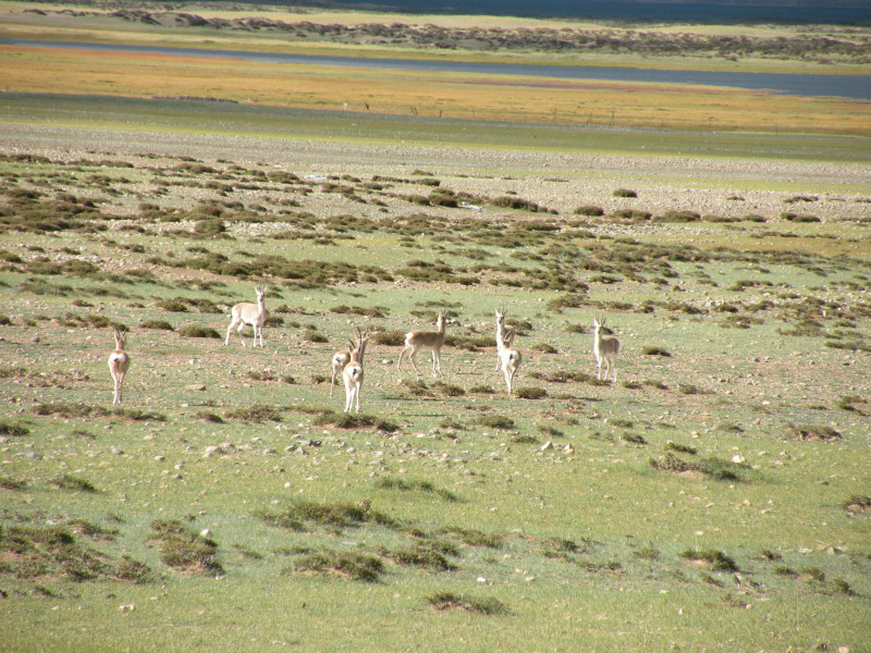 �Ҥ�iphone 858.jpg