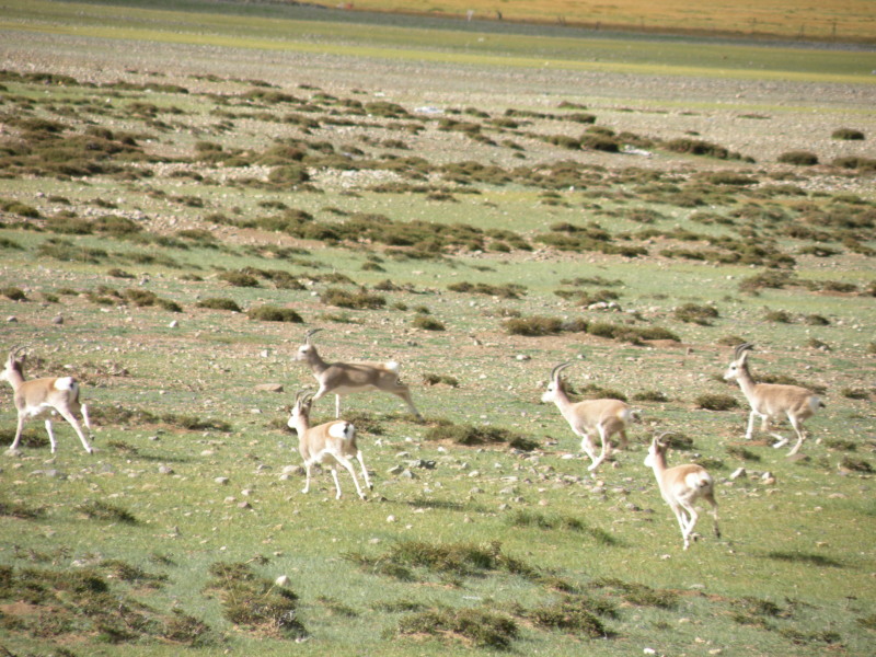 �Ҥ�iphone 857.jpg