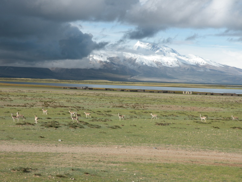 �Ҥ�iphone 856.jpg