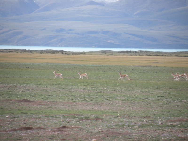 �Ҥ�iphone 890.jpg