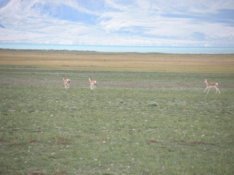 �Ҥ�iphone 889.jpg