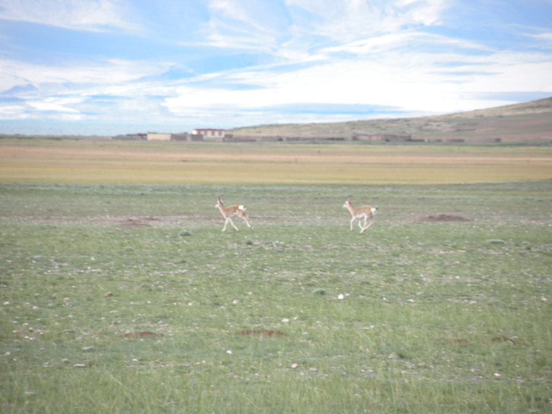 �Ҥ�iphone 888.jpg